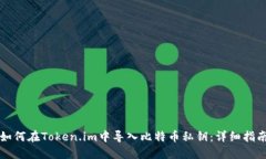 如何在Token.im中导入比特币私钥：详细指南