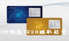 如何通过IM钱包TR20赚取能量：全面指南