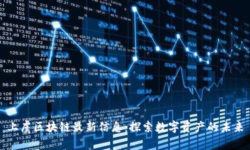 上虞区块链最新信息：探索数字资产的未来