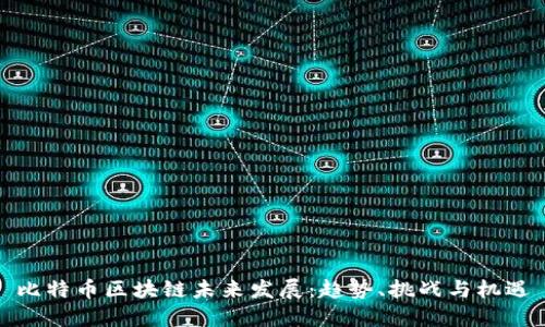 比特币区块链未来发展：趋势、挑战与机遇