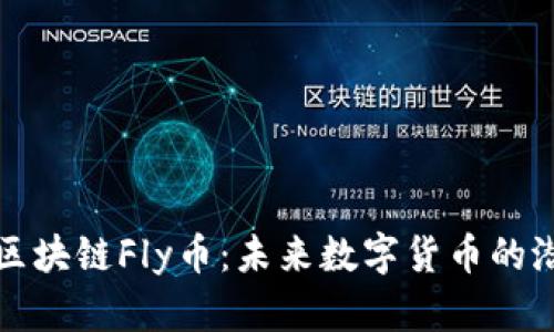 全面解析区块链Fly币：未来数字货币的潜力与挑战