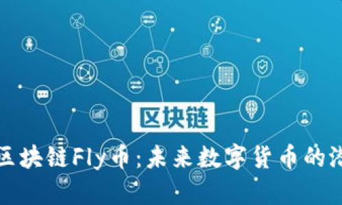 全面解析区块链Fly币：未来数字货币的潜力与挑战